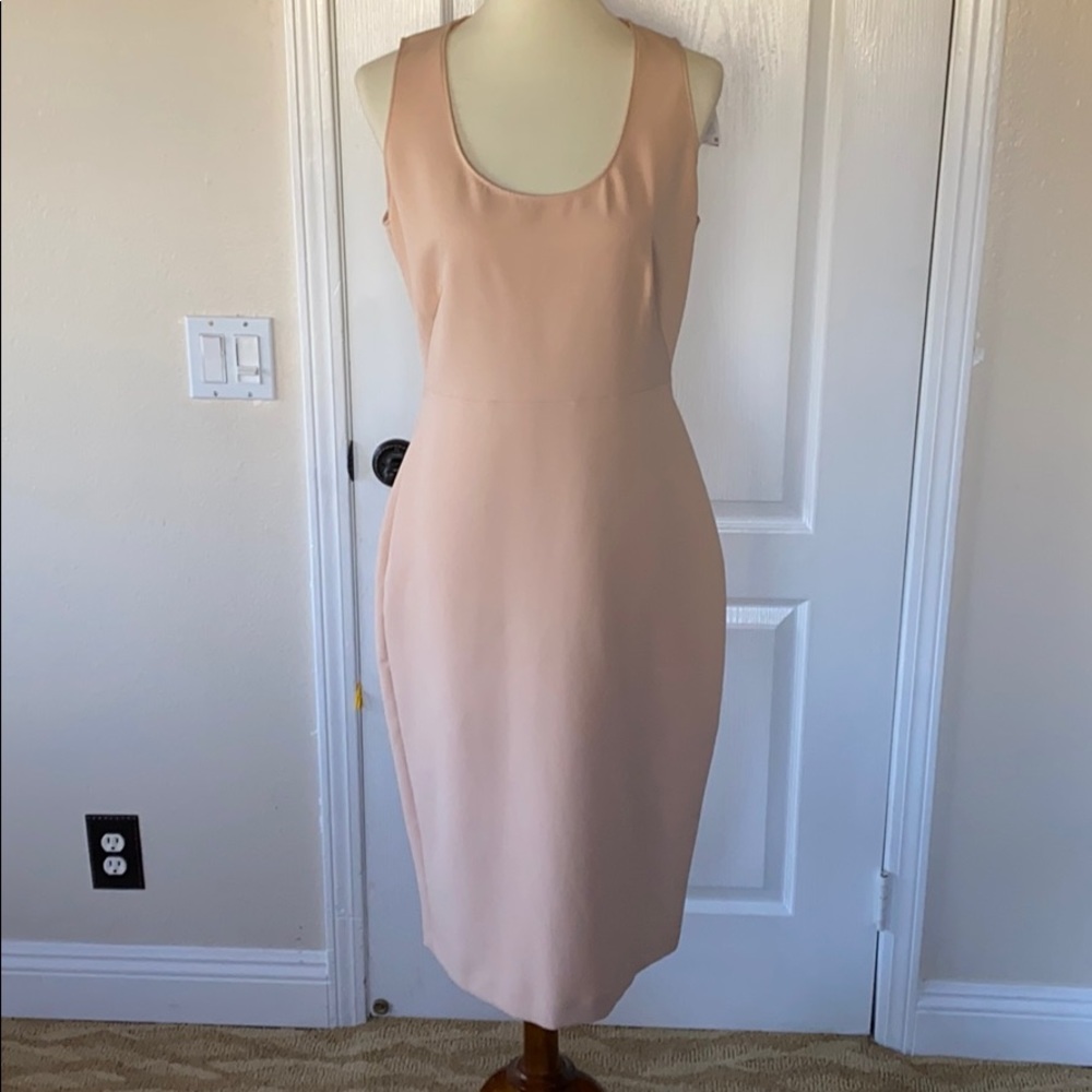 Blush Zara Dress